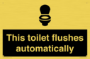 this-toilet-flushes-automatically~
